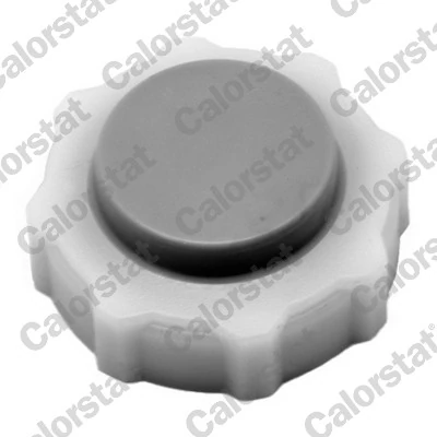 Cap, coolant tank